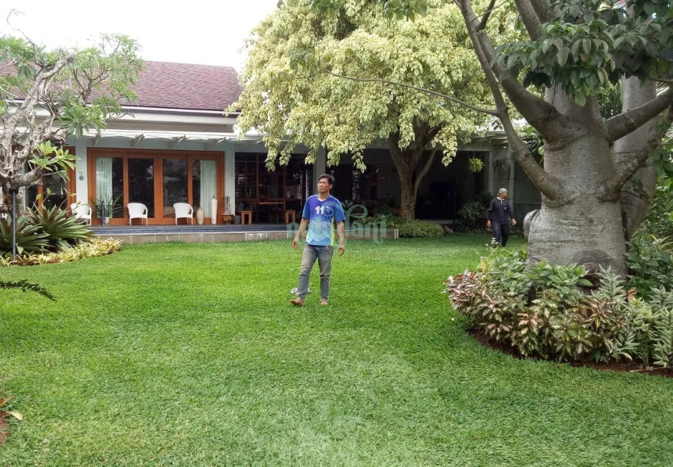 Portofolio Nuladani (10)