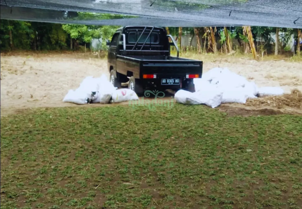 Portofolio Nuladani (18)